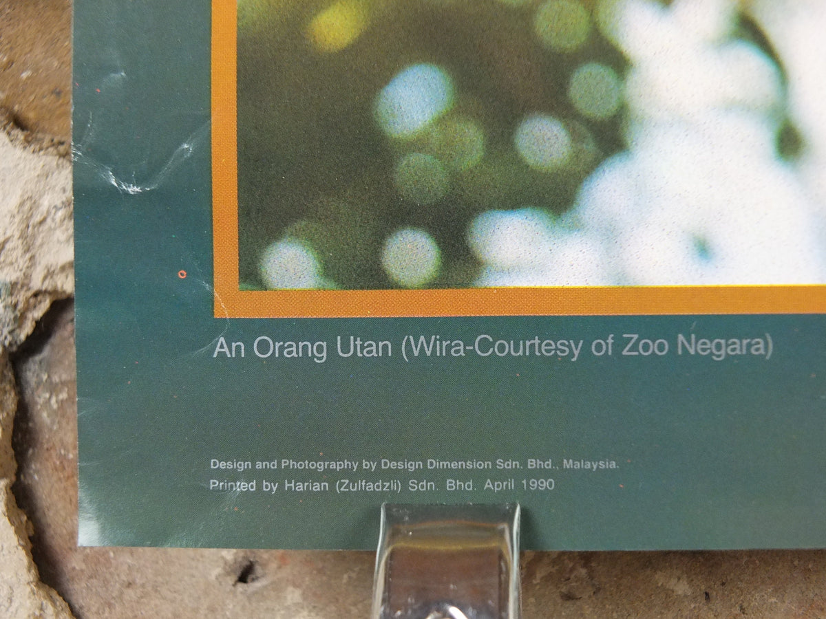 1990 Malaysia Travel Poster, An orang utan from Zoo Negara, A Naturalists Haven, travel tourism, advertising print, wall art retro decor