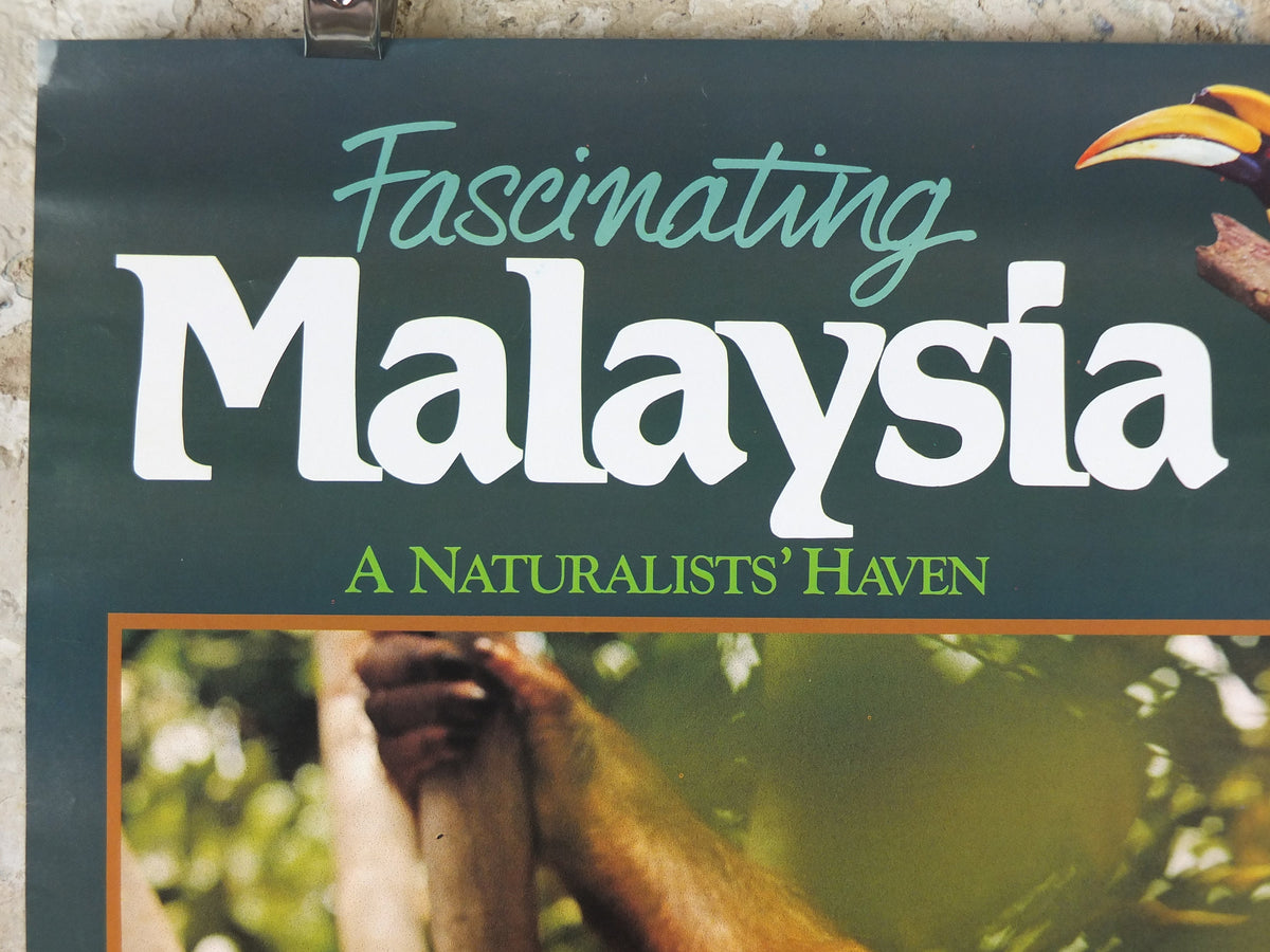 1990 Malaysia Travel Poster, An orang utan from Zoo Negara, A Naturalists Haven, travel tourism, advertising print, wall art retro decor