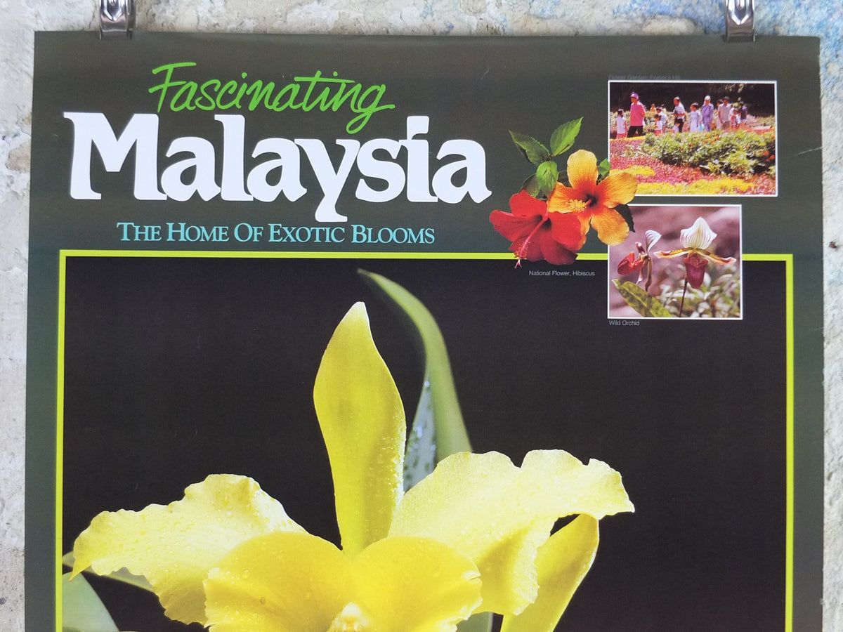 1990 Malaysia Travel Poster, Orchids, The Home of Exotic Blooms, travel tourism, advertising print, wall art retro decor