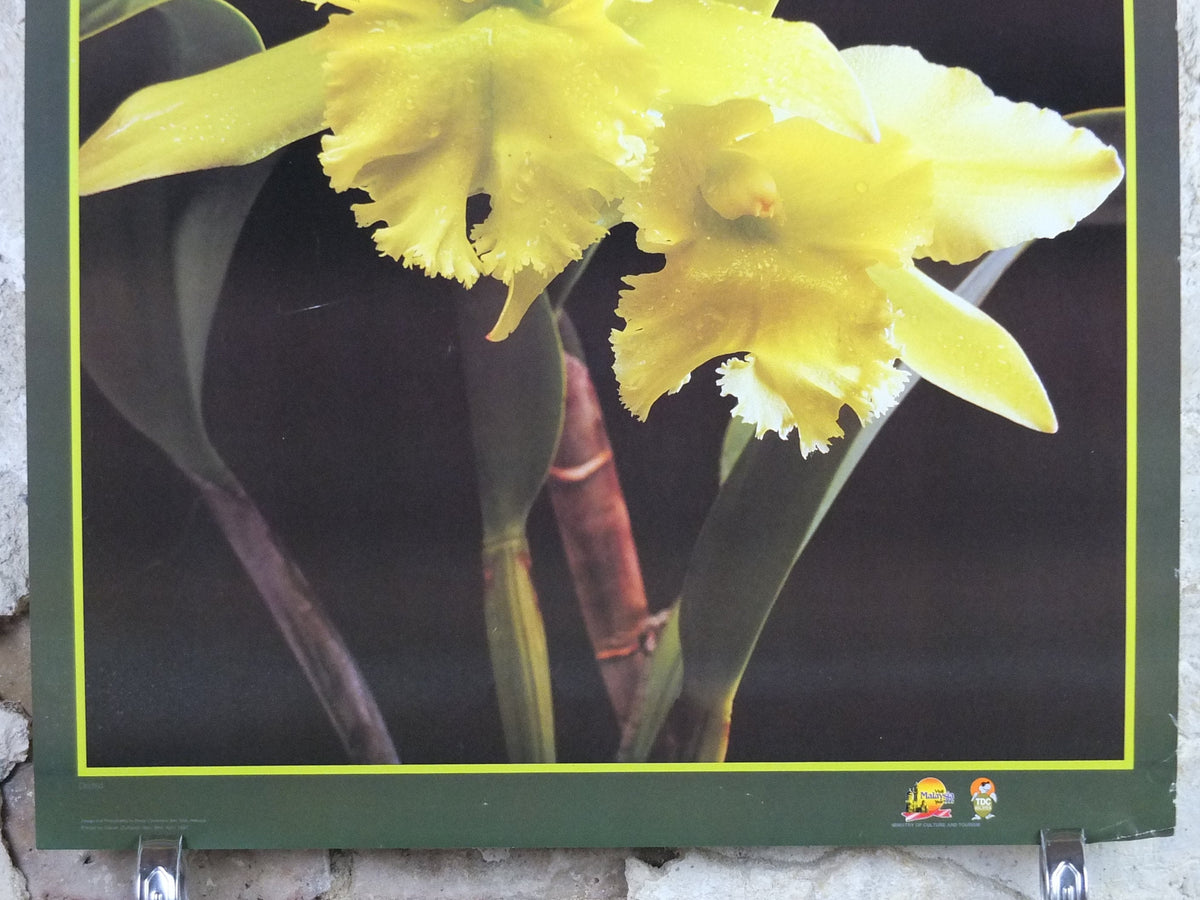 1990 Malaysia Travel Poster, Orchids, The Home of Exotic Blooms, travel tourism, advertising print, wall art retro decor