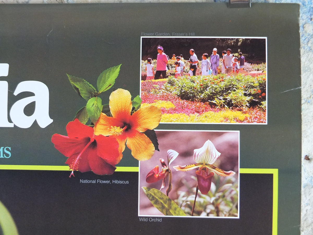 1990 Malaysia Travel Poster, Orchids, The Home of Exotic Blooms, travel tourism, advertising print, wall art retro decor