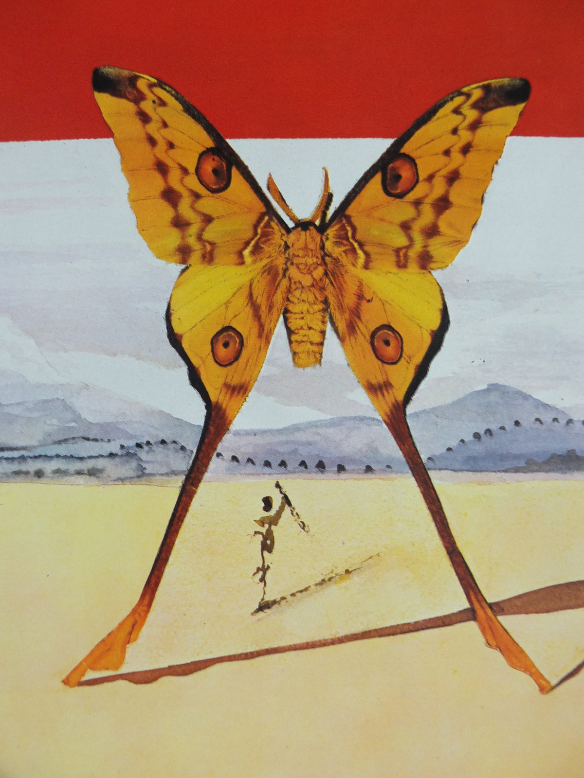 Vintage Dali Roussillon Poster, Salvador Dali, Butterflies, SNCF, travel tourism, 60cmx37cm, Chemins de fer Francais, wall art 1970s