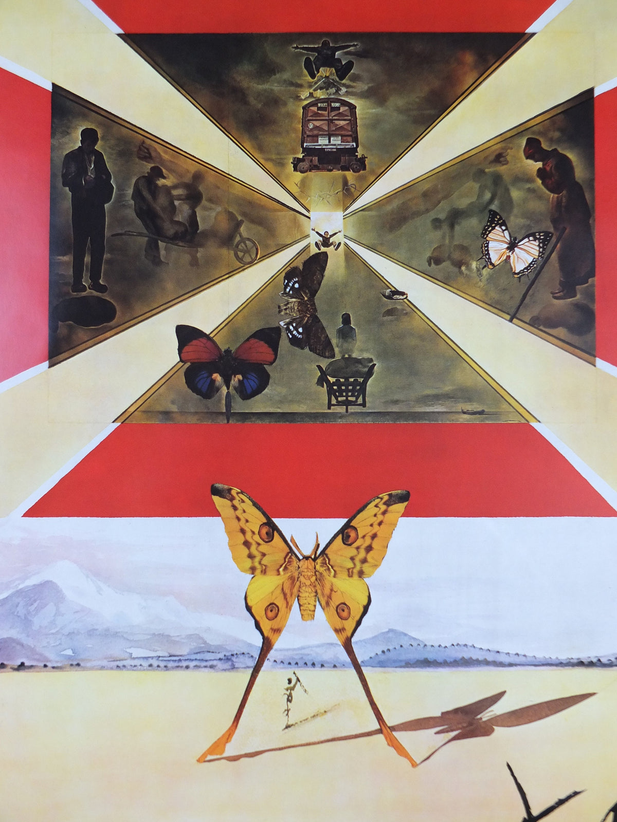 Vintage Dali Roussillon Poster, Salvador Dali, Butterflies, SNCF, travel tourism, 100cmx62cm, Chemins de fer Francais, wall art 1970s