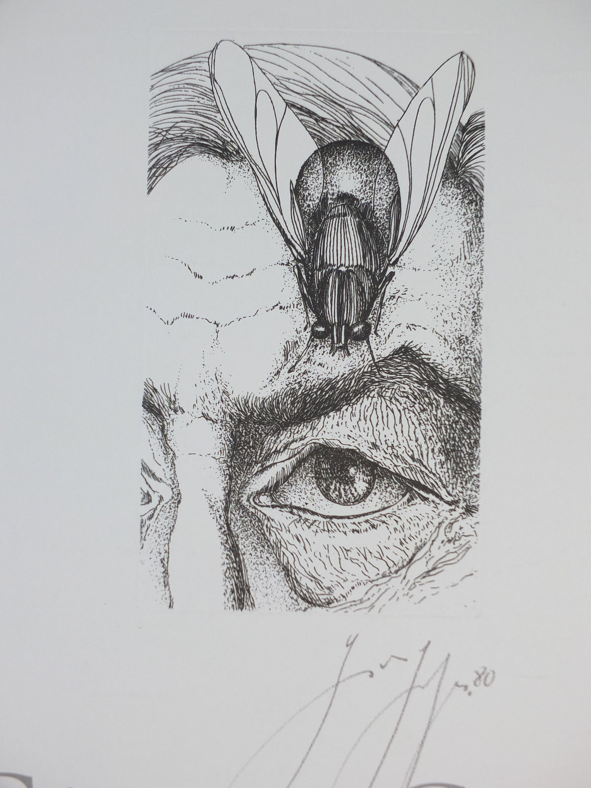2001 Gunter Grass Poster, Eye & Fly, Sofiero Castle, Helsingborg, Sweden, gallery exhibition, wall art decor
