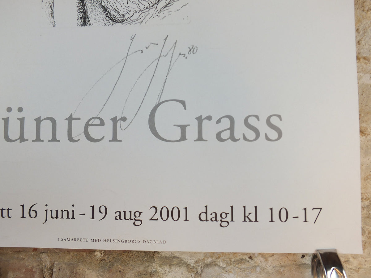 2001 Gunter Grass Poster, Eye & Fly, Sofiero Castle, Helsingborg, Sweden, gallery exhibition, wall art decor