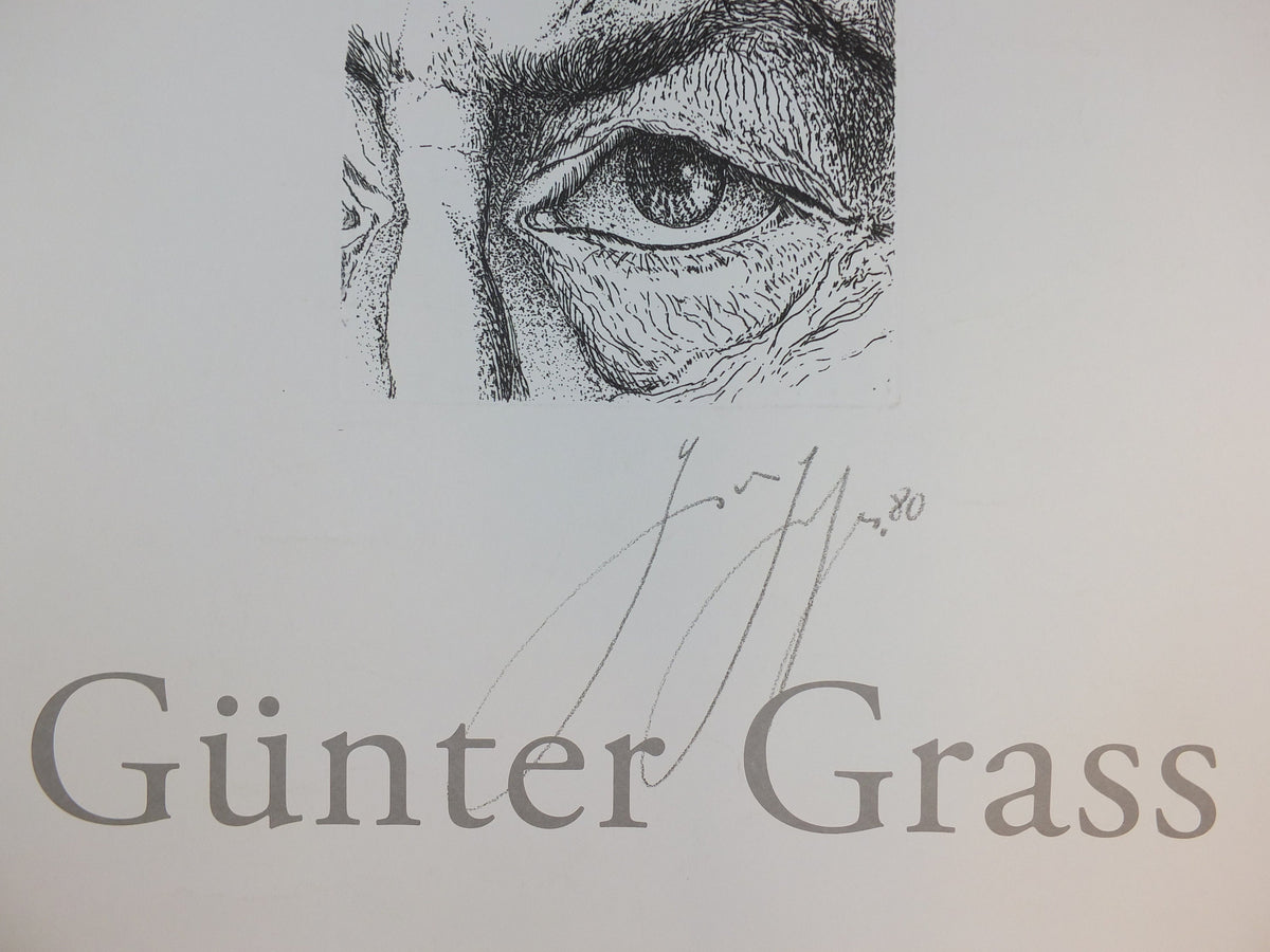 2001 Gunter Grass Poster, Eye & Fly, Sofiero Castle, Helsingborg, Sweden, gallery exhibition, wall art decor