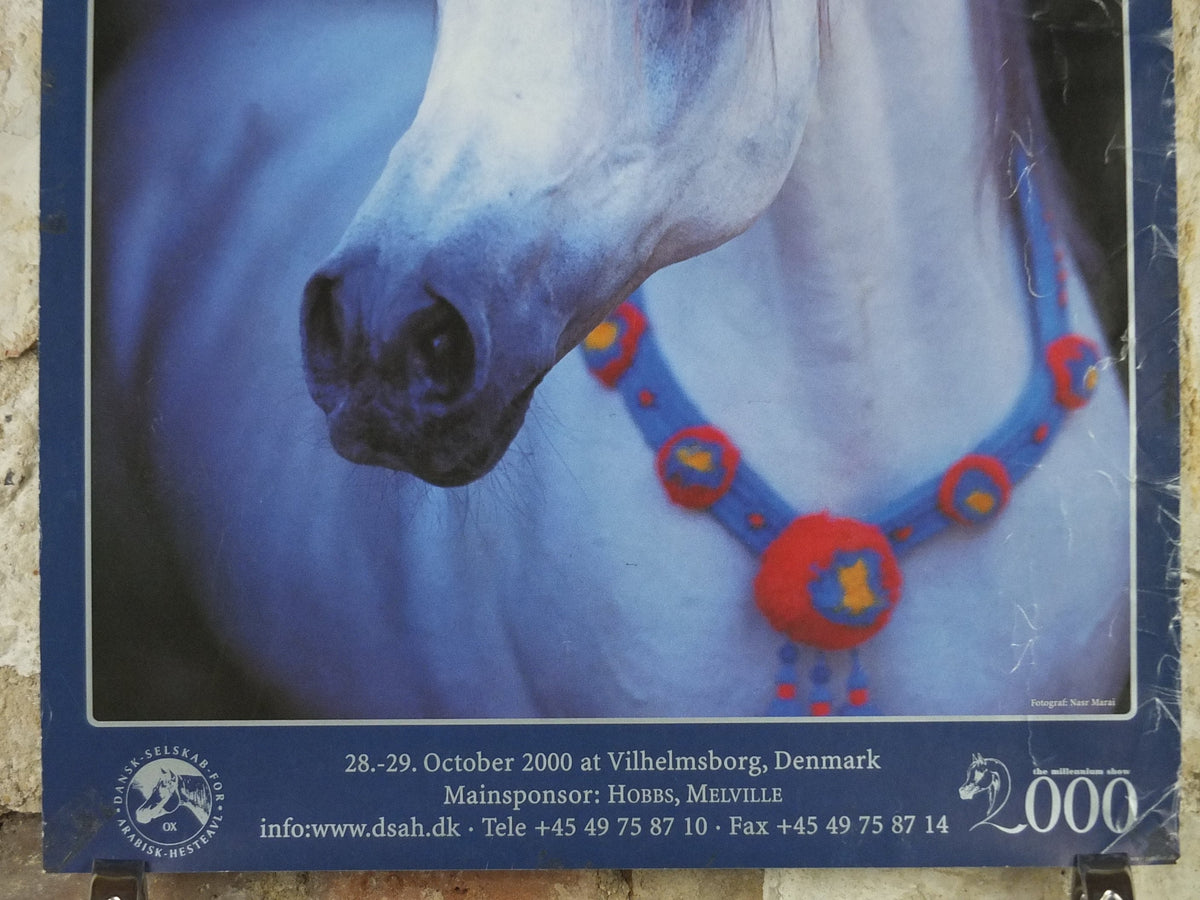 2000 Arabian Horses Poster, European Championships for Arabian Horses, Vilhelmsborg Denmark, Equestrian, wall art decor