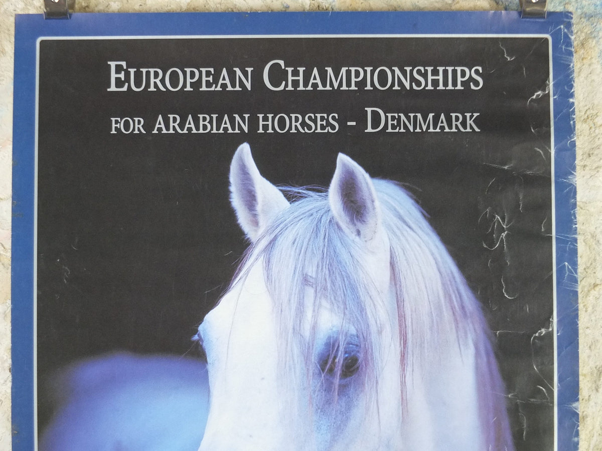 2000 Arabian Horses Poster, European Championships for Arabian Horses, Vilhelmsborg Denmark, Equestrian, wall art decor