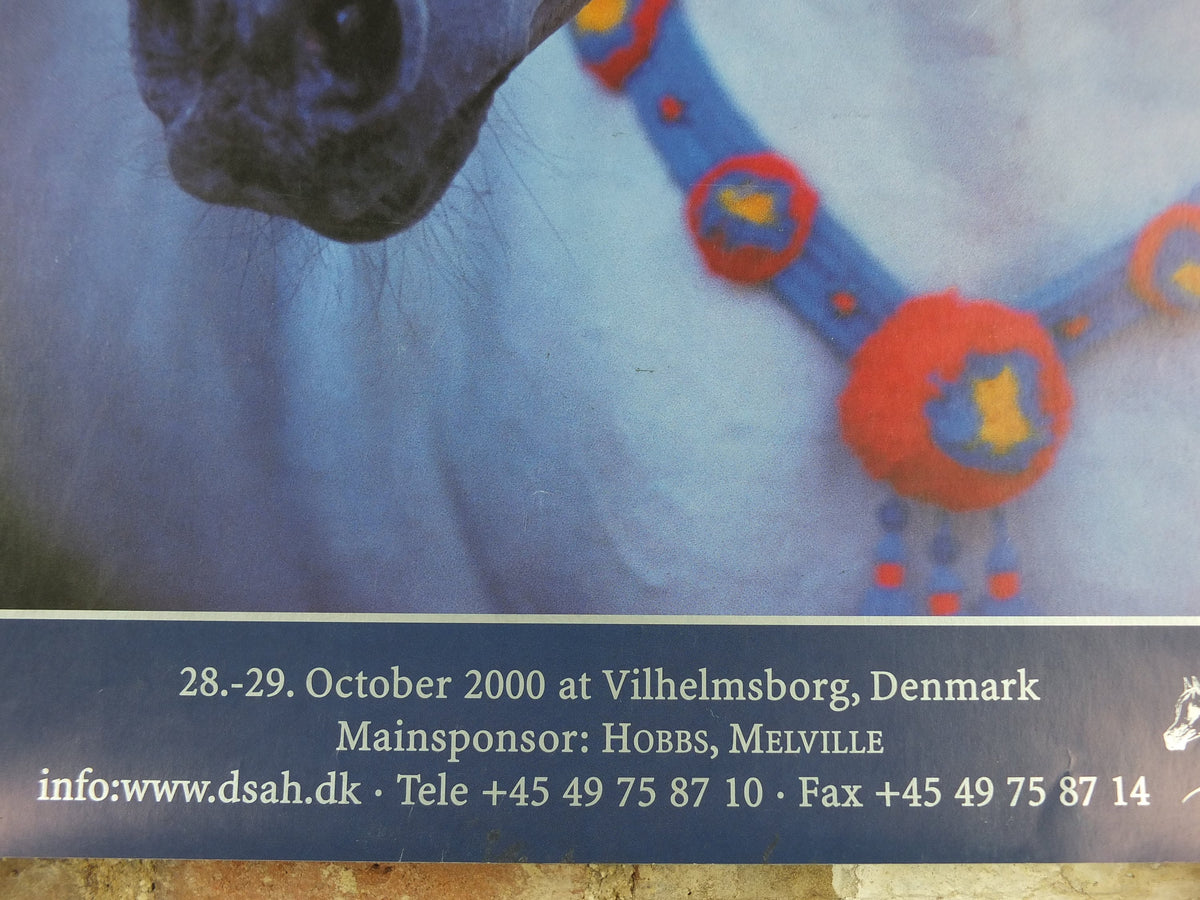 2000 Arabian Horses Poster, European Championships for Arabian Horses, Vilhelmsborg Denmark, Equestrian, wall art decor