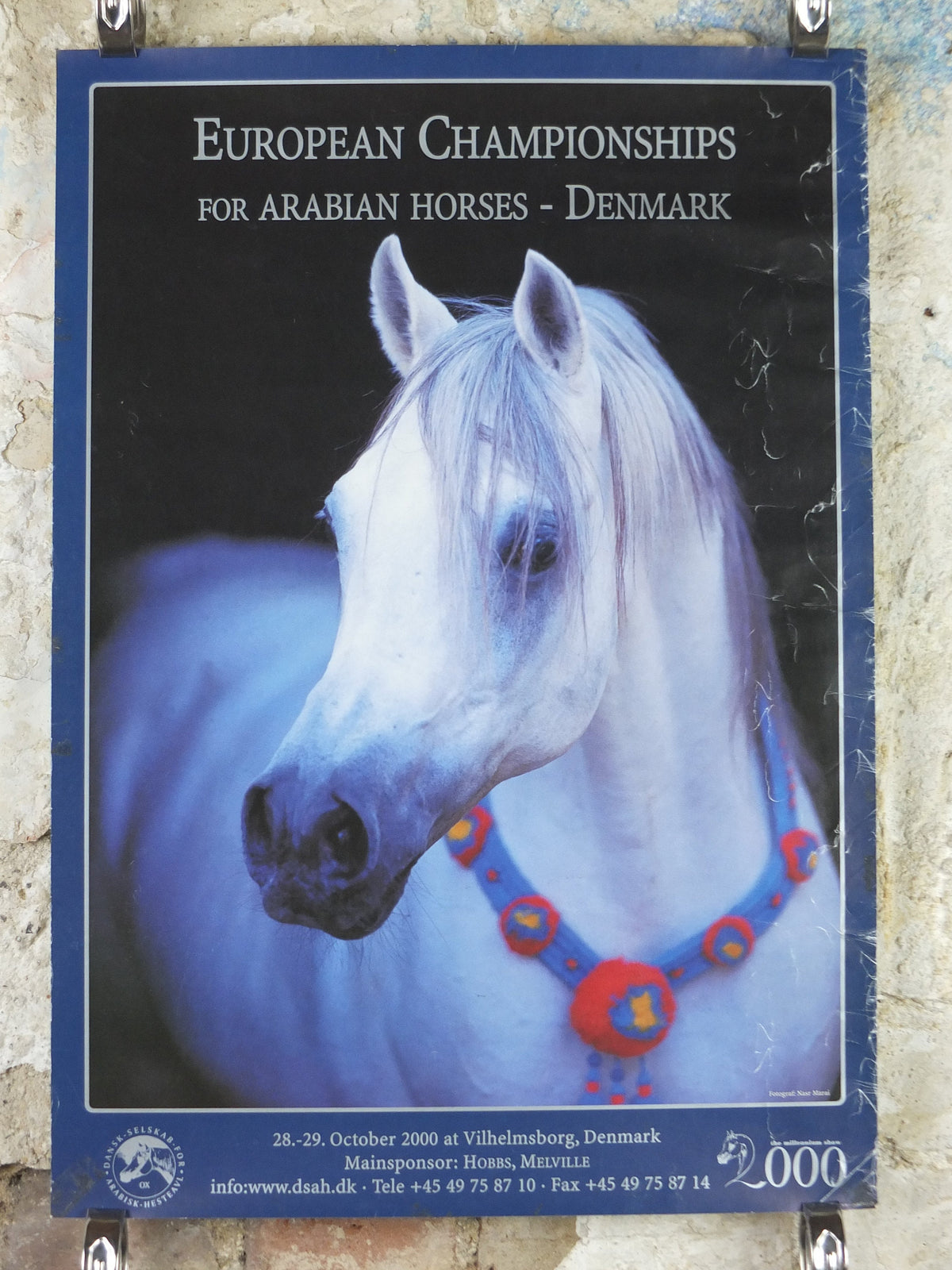 2000 Arabian Horses Poster, European Championships for Arabian Horses, Vilhelmsborg Denmark, Equestrian, wall art decor