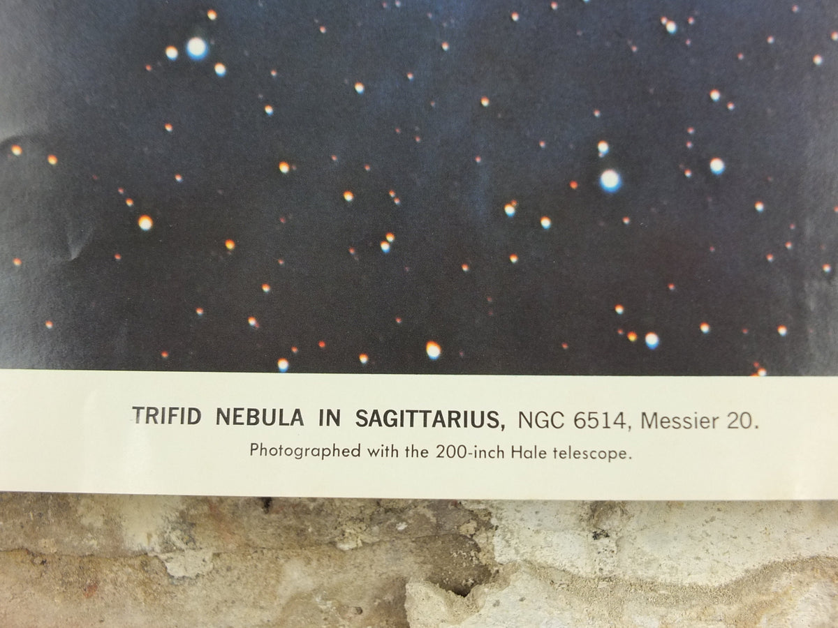 1961 Trifid Nebula in Sagitterius Poster, NGC 6514 California Institute of Technology and Carnegie Institution, Hale Observatories wall art