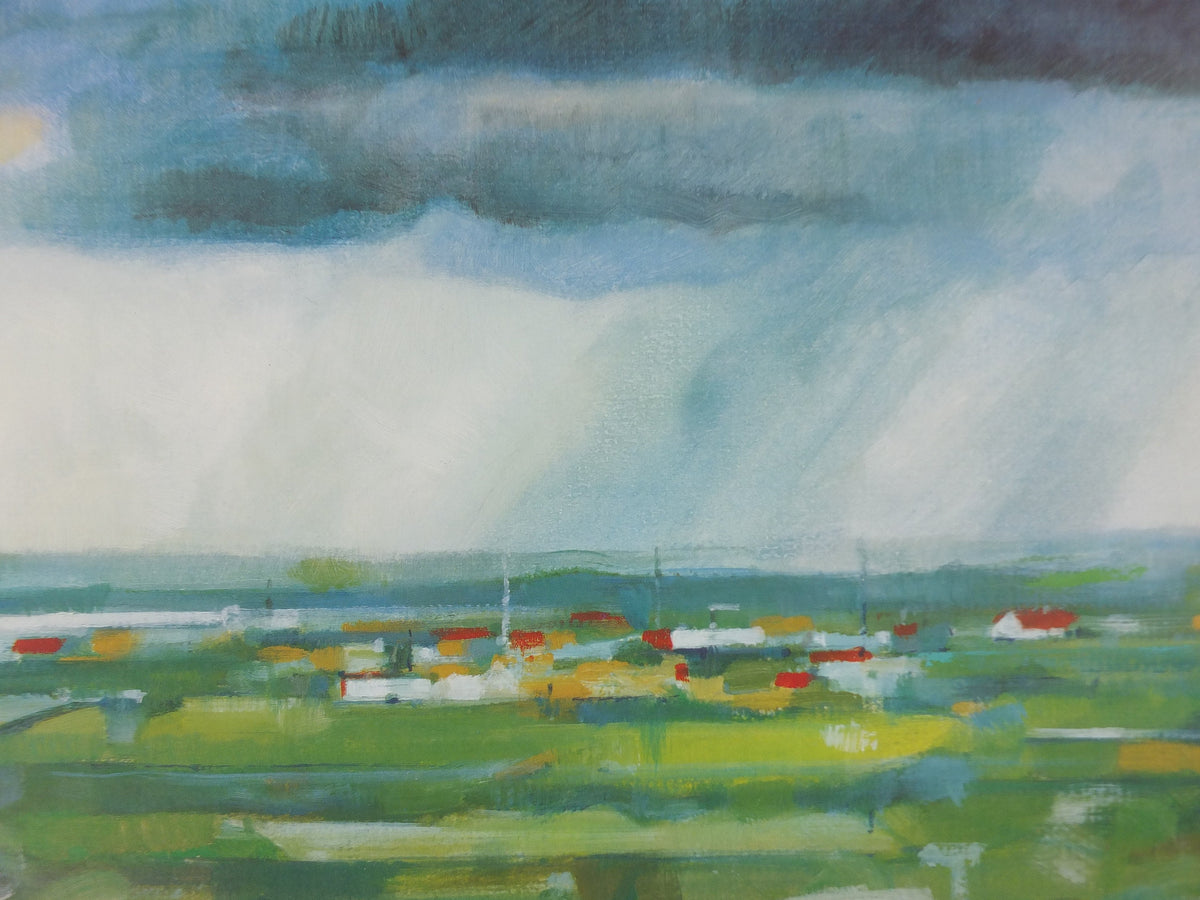 1992 Rain & Life Poster, Regn and Liv, Environmental Danish Design, by Peter Nielsen for Danfoss, Scandanavian wall art decor