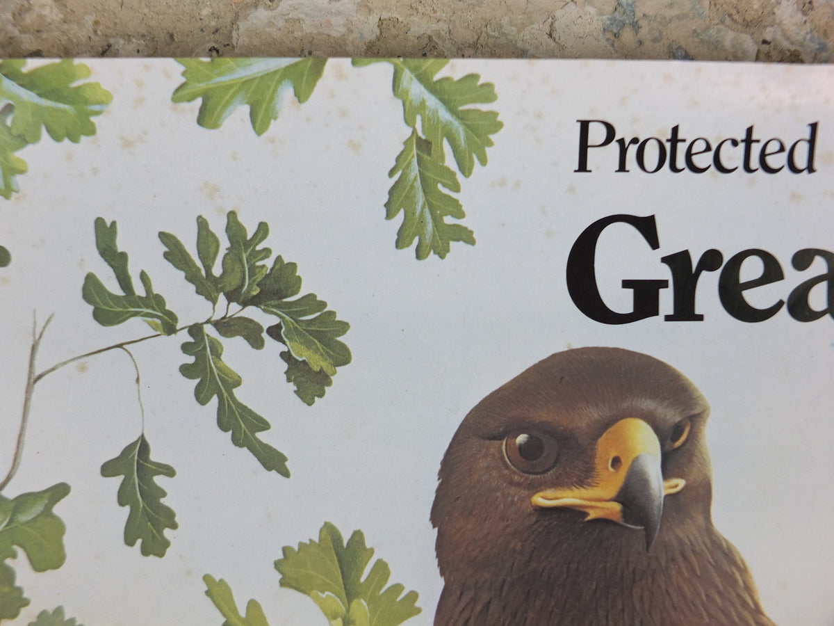 1980 Greater Spotted Eagle Poster, Eagle Star Insurance, by Trevor Boyer, protected Eagles #8, fauna, zoology, wall art decor