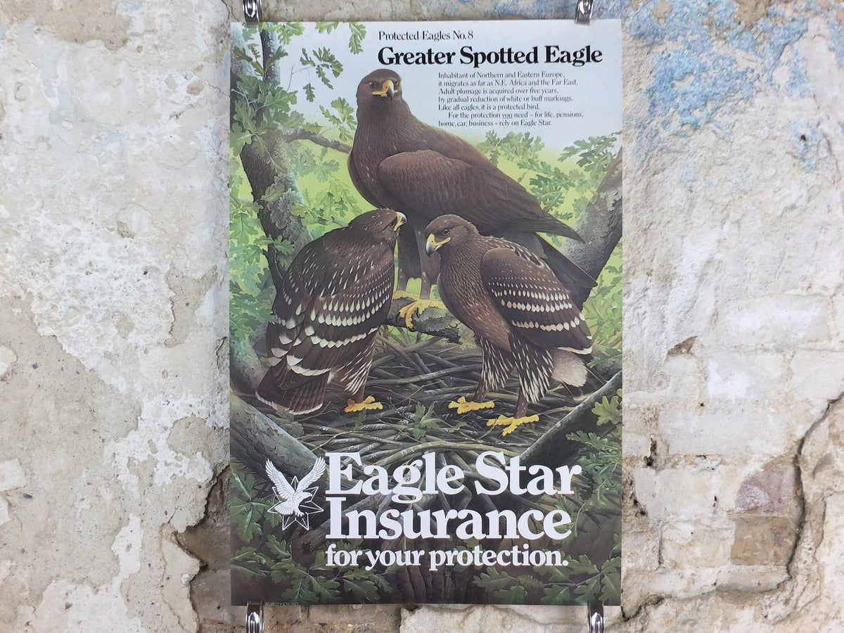 1980 Greater Spotted Eagle Poster, Eagle Star Insurance, by Trevor Boyer, protected Eagles #8, fauna, zoology, wall art decor