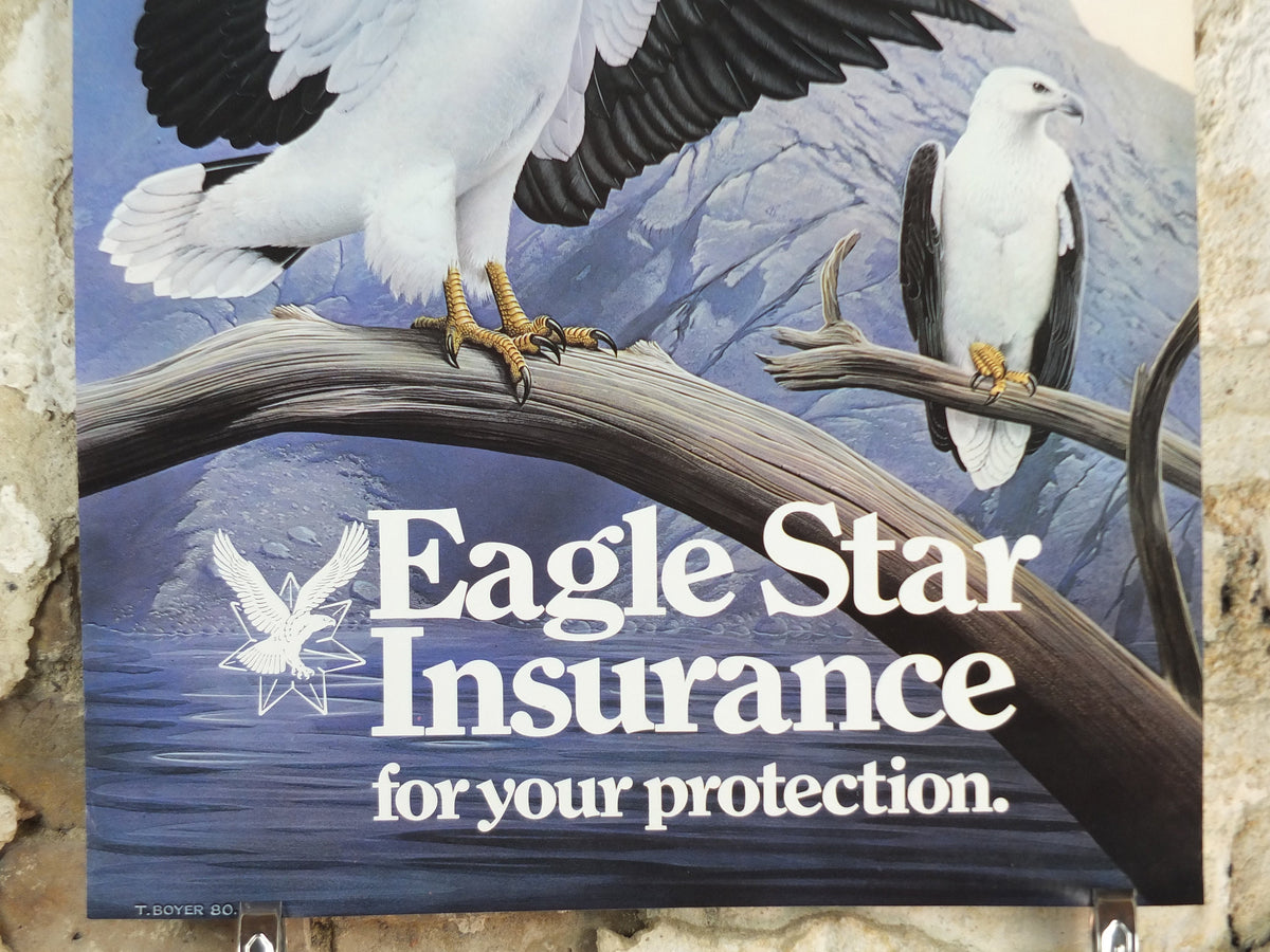 1980 White Bellied Sea Eagle Poster, Eagle Star Insurance, by Trevor Boyer, protected Eagles #7, fauna, zoology, wall art decor