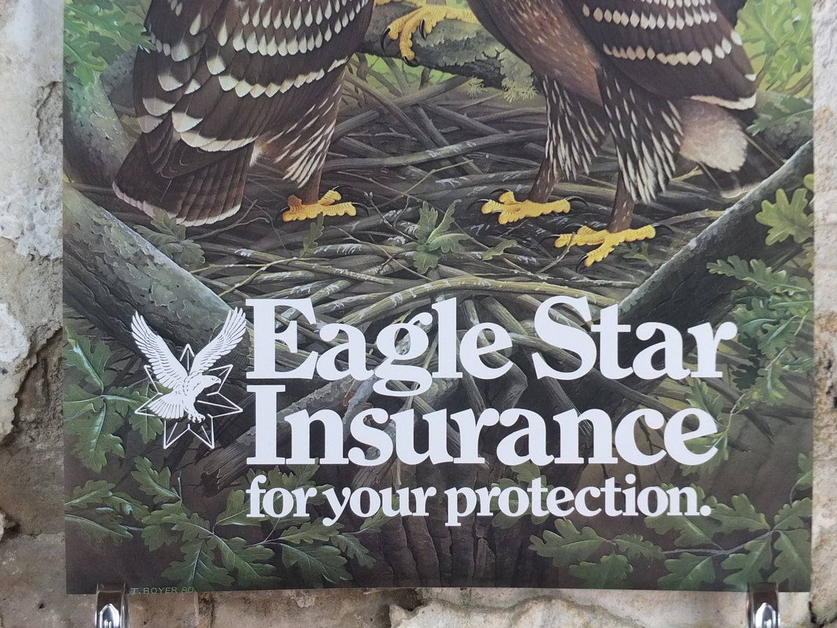 1980 Greater Spotted Eagle Poster, Eagle Star Insurance, by Trevor Boyer, protected Eagles #8, fauna, zoology, wall art decor