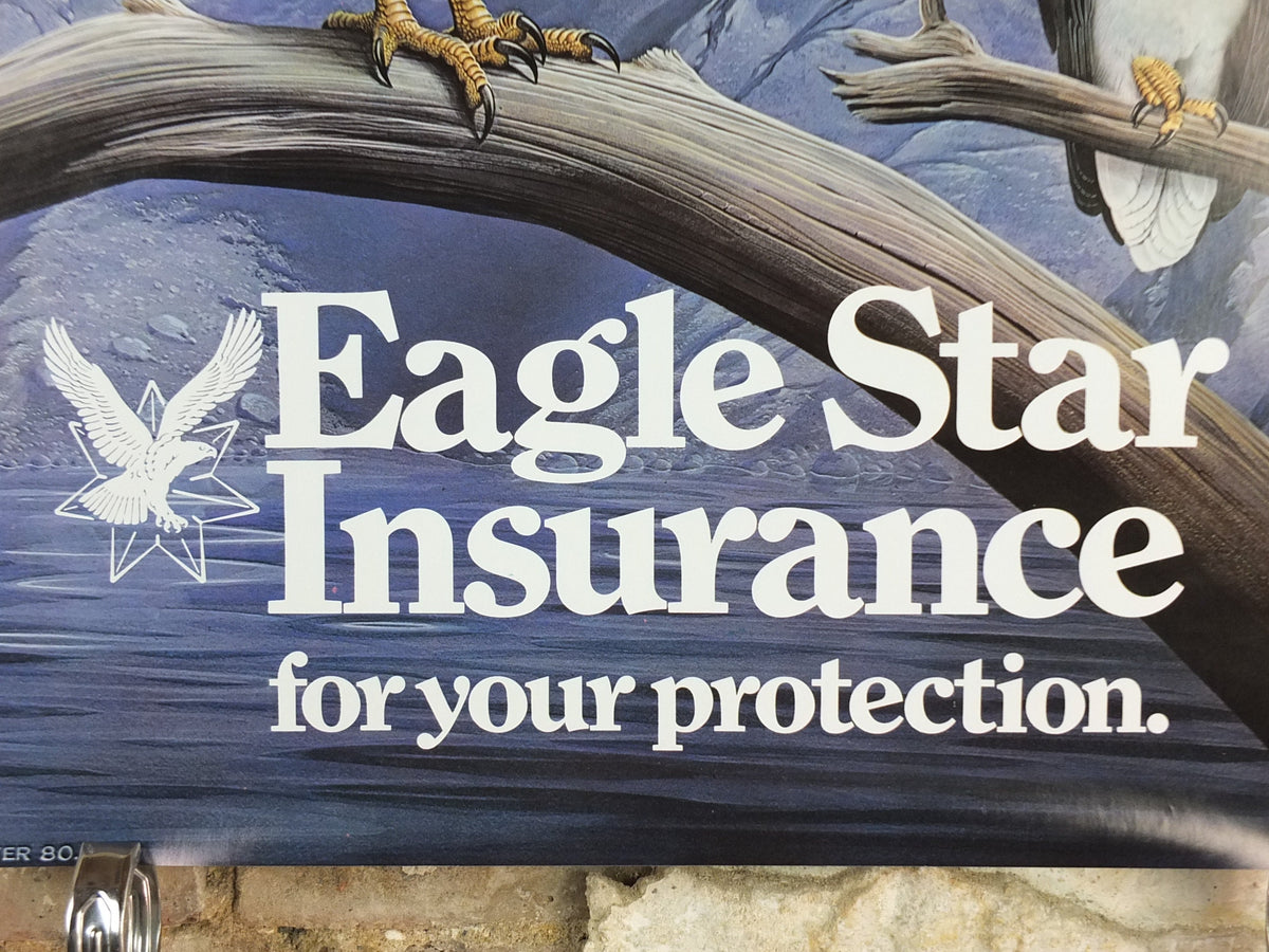 1980 White Bellied Sea Eagle Poster, Eagle Star Insurance, by Trevor Boyer, protected Eagles #7, fauna, zoology, wall art decor