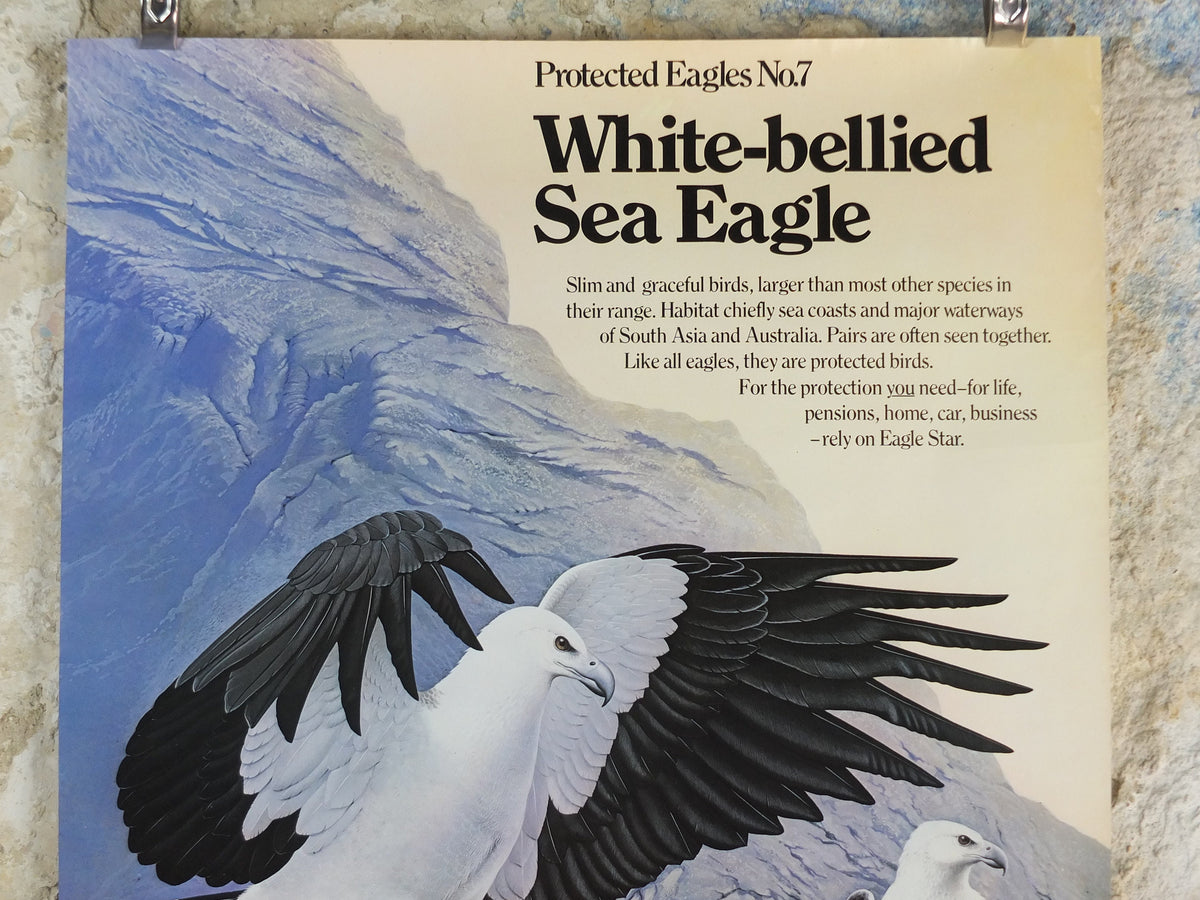 1980 White Bellied Sea Eagle Poster, Eagle Star Insurance, by Trevor Boyer, protected Eagles #7, fauna, zoology, wall art decor