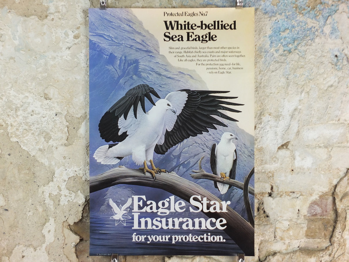 1980 White Bellied Sea Eagle Poster, Eagle Star Insurance, by Trevor Boyer, protected Eagles #7, fauna, zoology, wall art decor