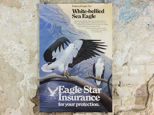 1980 White Bellied Sea Eagle Poster, Eagle Star Insurance, by Trevor Boyer, protected Eagles #7, fauna, zoology, wall art decor