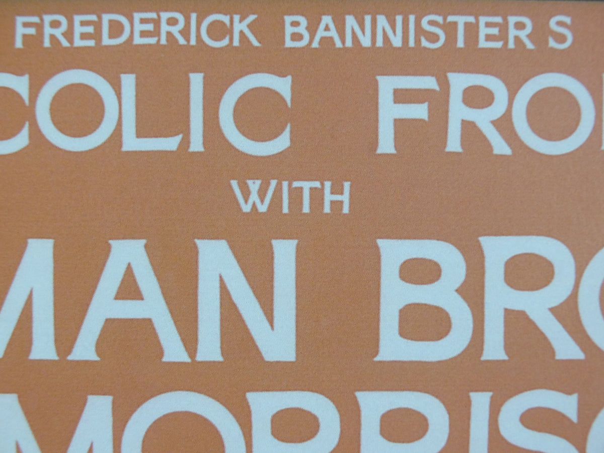 1974 Knebworth Park Concert Poster, Van Morrison, Bucolic Frolic, Signed by Freddy Bannister, 1999 reprint, Psychedelic rock music, wall art