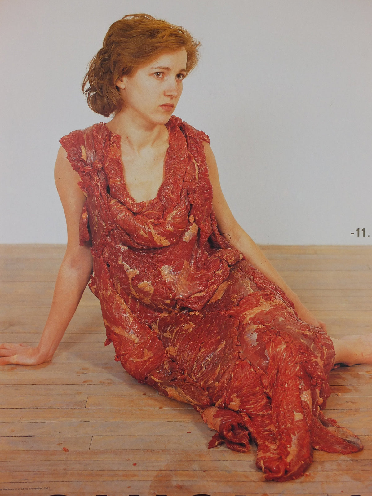 1993 Jana Sterbak Poster, Meat Dress, Vanitas Flesh Dress for an Albino Anorectic, Louisiana, Copenhagen, gallery exhibition, wall art decor