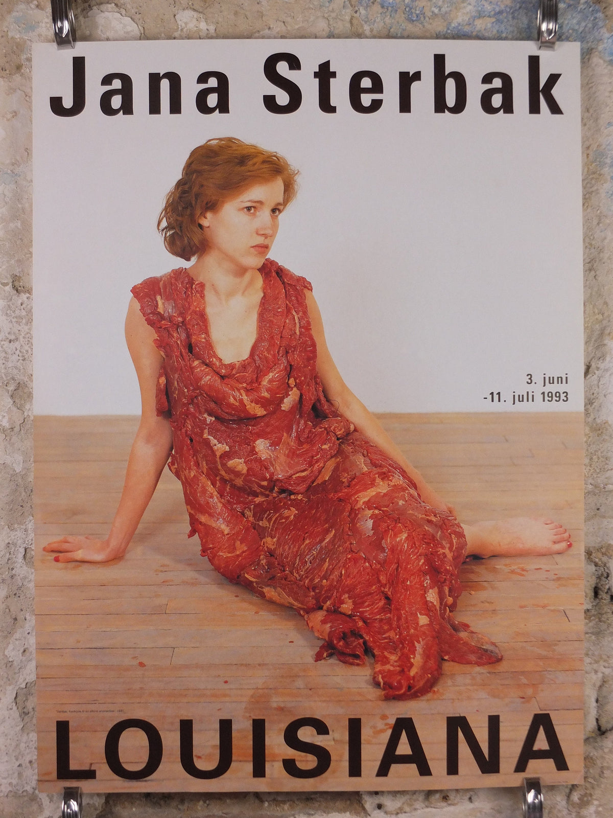 1993 Jana Sterbak Poster, Meat Dress, Vanitas Flesh Dress for an Albino Anorectic, Louisiana, Copenhagen, gallery exhibition, wall art decor