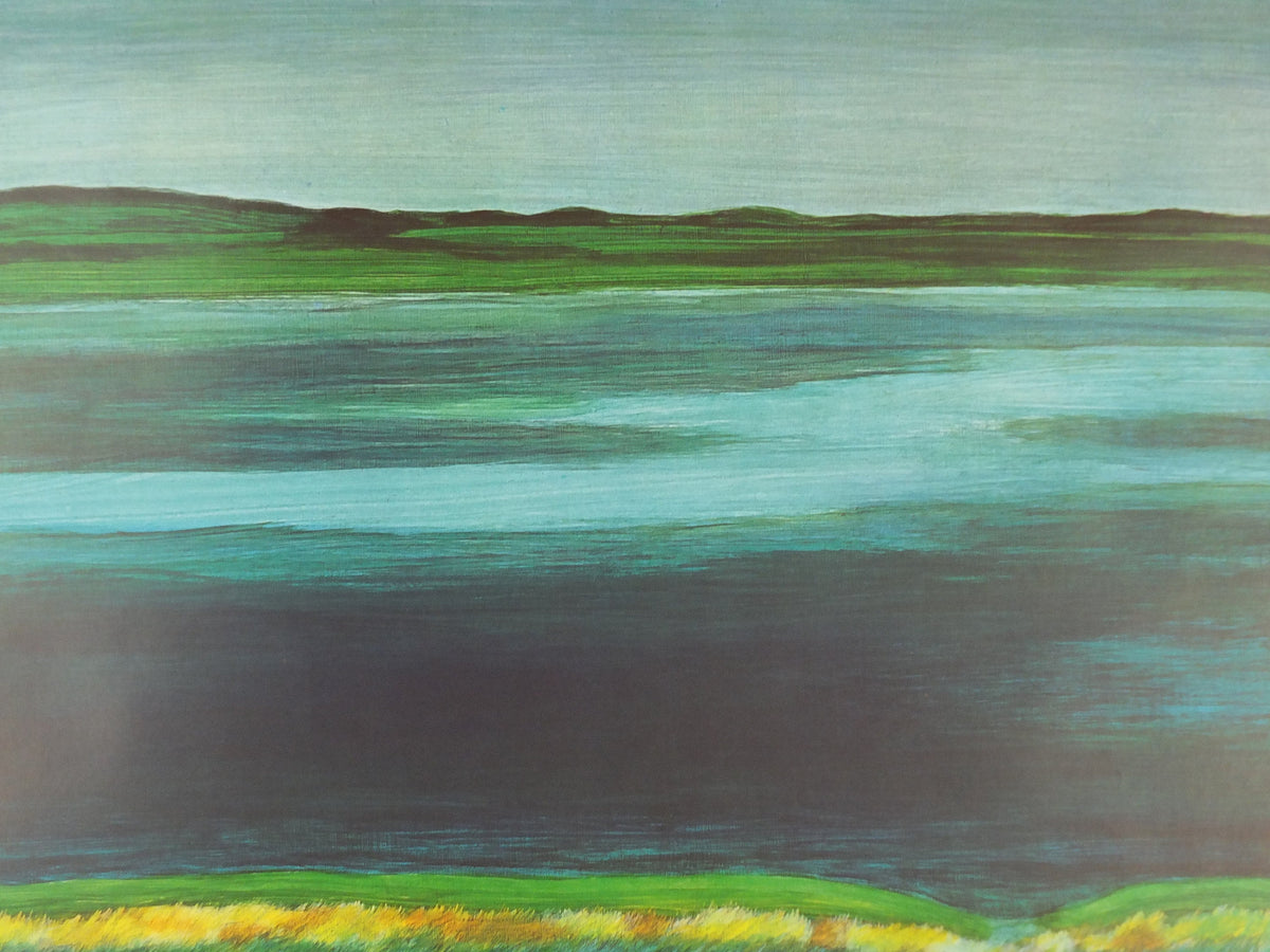 1977 DSB Danske Statsbaner Poster, by Buster Bruun, Danish State Railways, colourful landscape, Scandanavian design, wall art decor