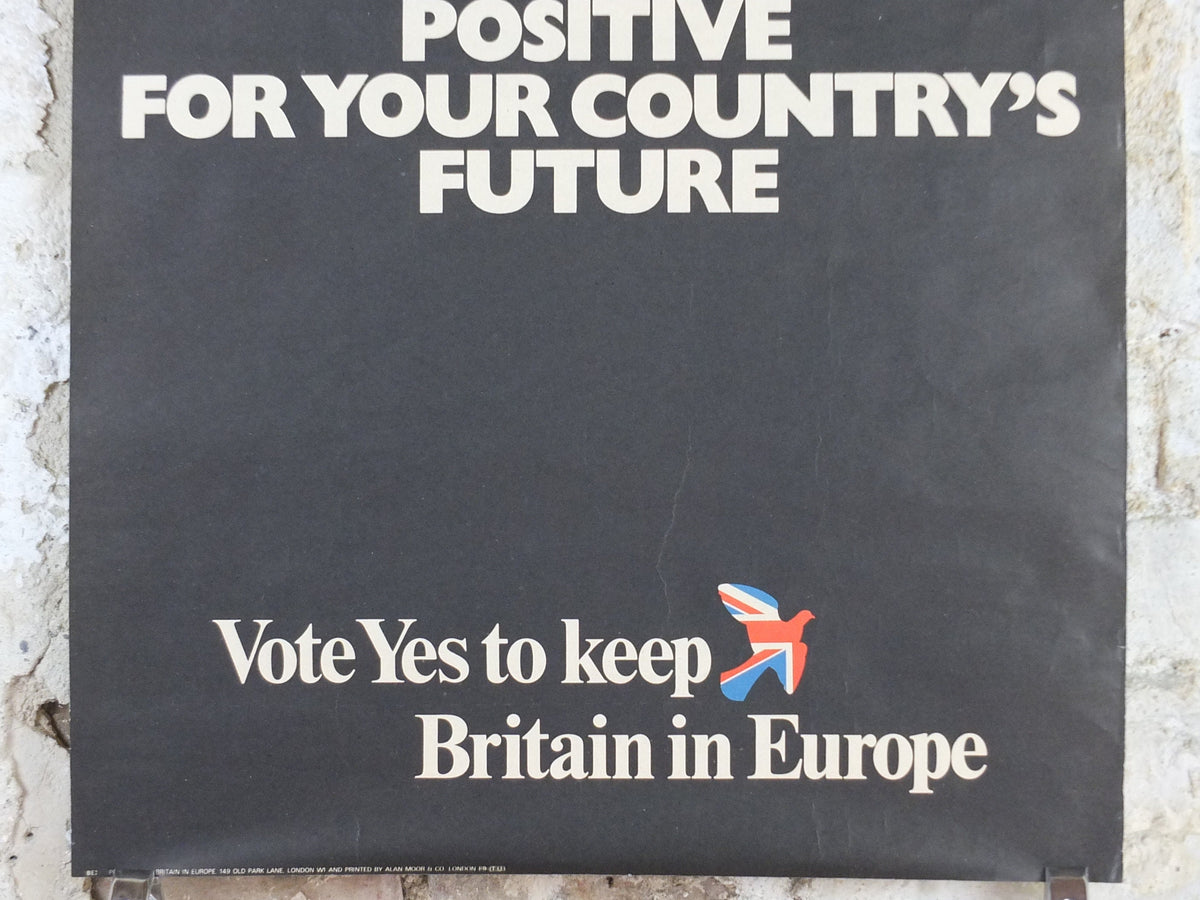 1975 Vote Yes to keep Britain in Europe Poster, initial referendum to join and stay in the EEC, democracy in Europe, wall art decor