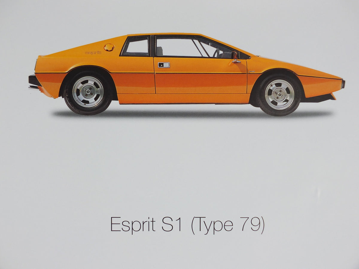 2000s Lotus Poster, showing sports cars Esprit S1, Esprit X80 Turbo S1, Excel hung in dealer showroom, Group Lotus sports, wall art decor