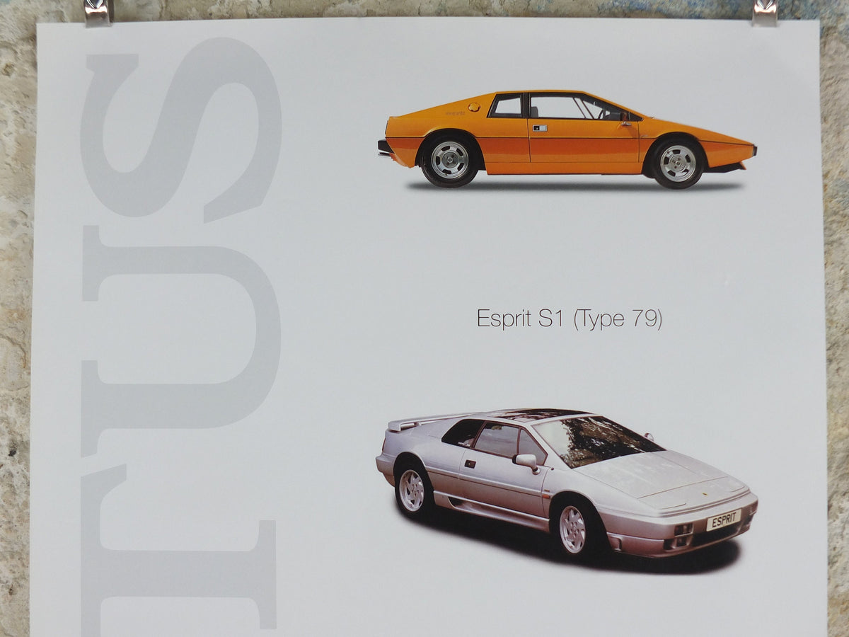 2000s Lotus Poster, showing sports cars Esprit S1, Esprit X80 Turbo S1, Excel hung in dealer showroom, Group Lotus sports, wall art decor