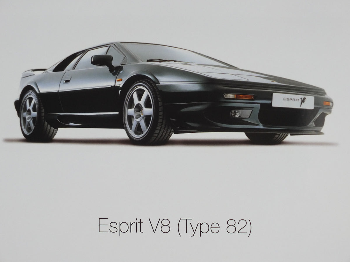 2000s Lotus Poster, showing the sports cars Elan M100, Esprit V8, Elise S1 hung in dealer showroom, Group Lotus sports, wall art decor