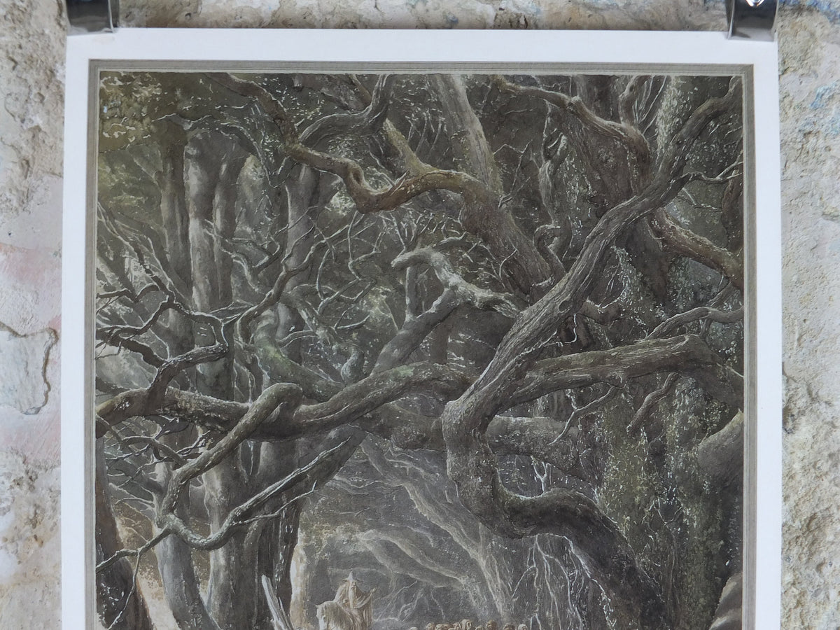 Signed 1997 Mirkwood Poster, by Alan Lee, At the Forest Gate from The Hobbit, J.R.R. Tolkien, illustration print wall art decor
