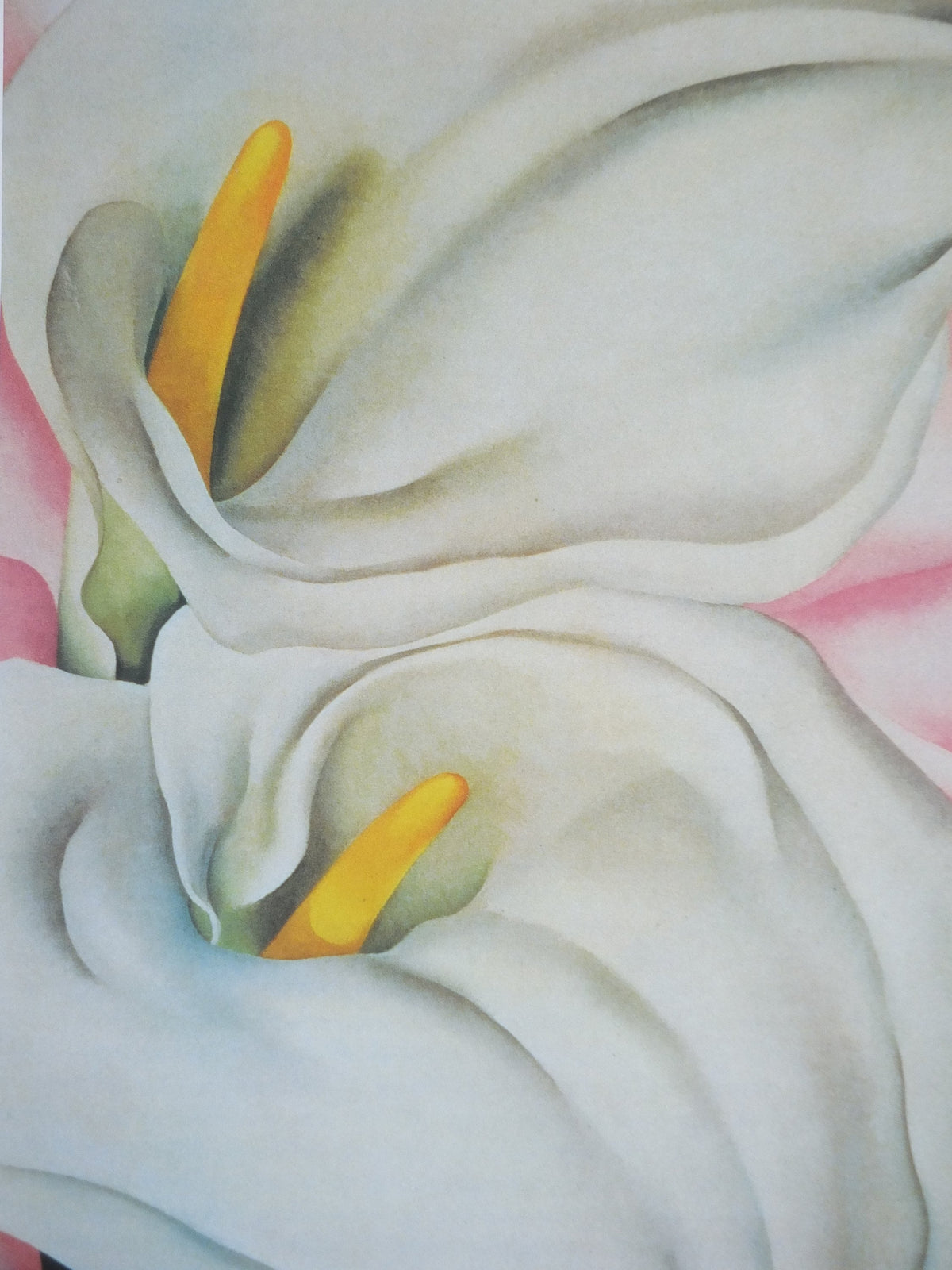2002 Georgia O'Keeffe Poster, Two Calla lilies on Pink 1928, American modernism, Precisionism, gallery exhibition wall art decor