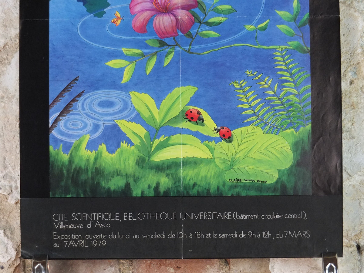 1979 History of Sexuality Poster, Histoire Naturelle de la Sexualite, by Claire Vernaiu-Brenot, wall art decor