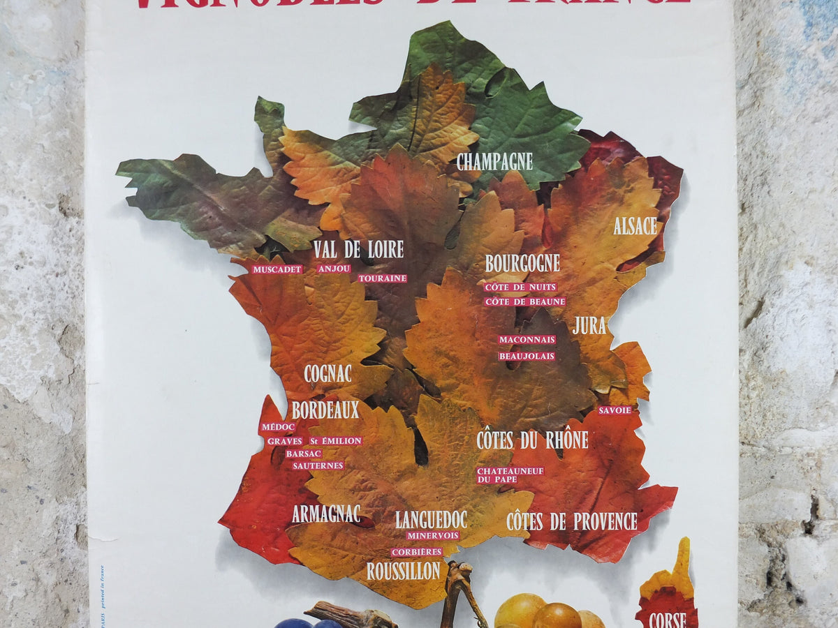 1974 Vineyards of France Poster, Types of French wines, Vins de France, advertising and marketing, Viticulture print wall art decor