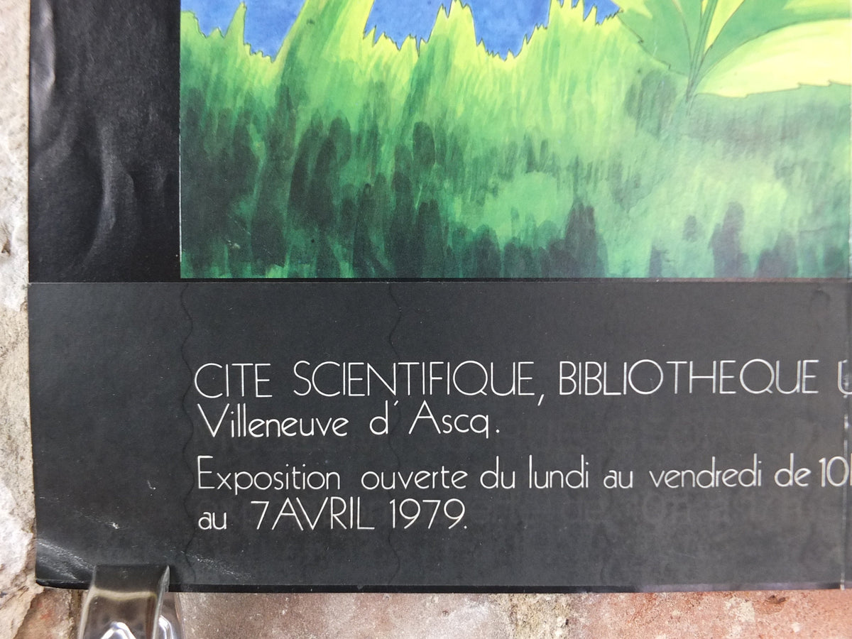 1979 History of Sexuality Poster, Histoire Naturelle de la Sexualite, by Claire Vernaiu-Brenot, wall art decor