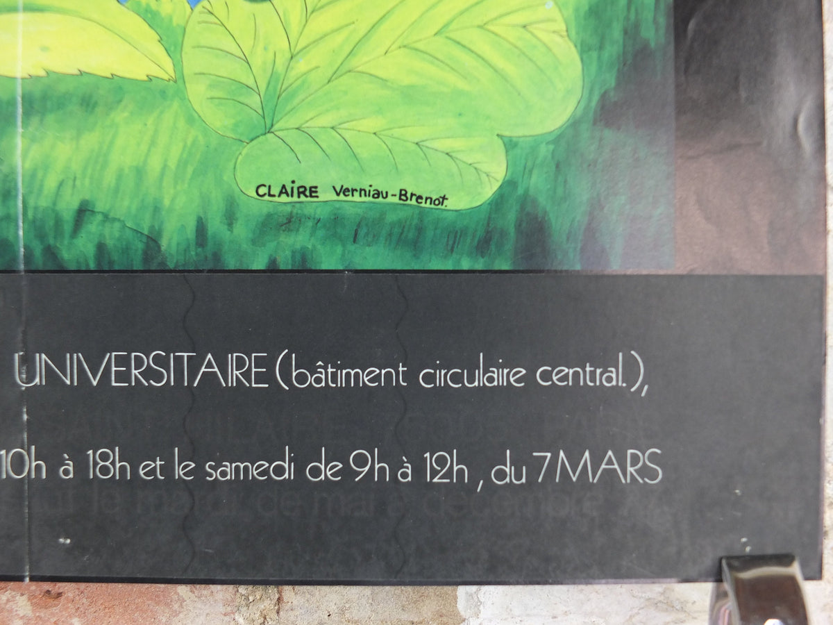 1979 History of Sexuality Poster, Histoire Naturelle de la Sexualite, by Claire Vernaiu-Brenot, wall art decor