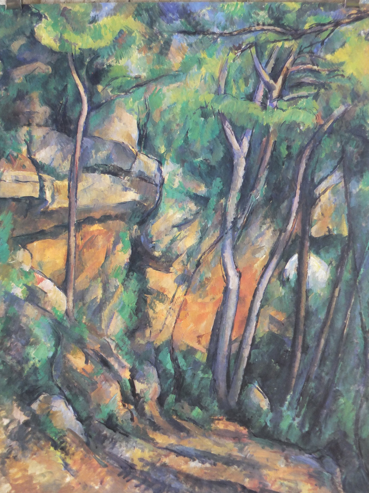 1989 Paul Cezanne Poster, The Grounds of Chateau Noir 1898, Impressionism, Post-Impressionism, Cubism, gallery exhibition, wall art decor