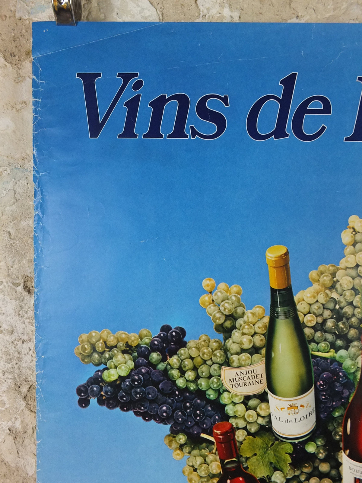 1974 Wines of France Poster, Types of French wines, Vins de France, advertising and marketing, Viticulture print wall art decor