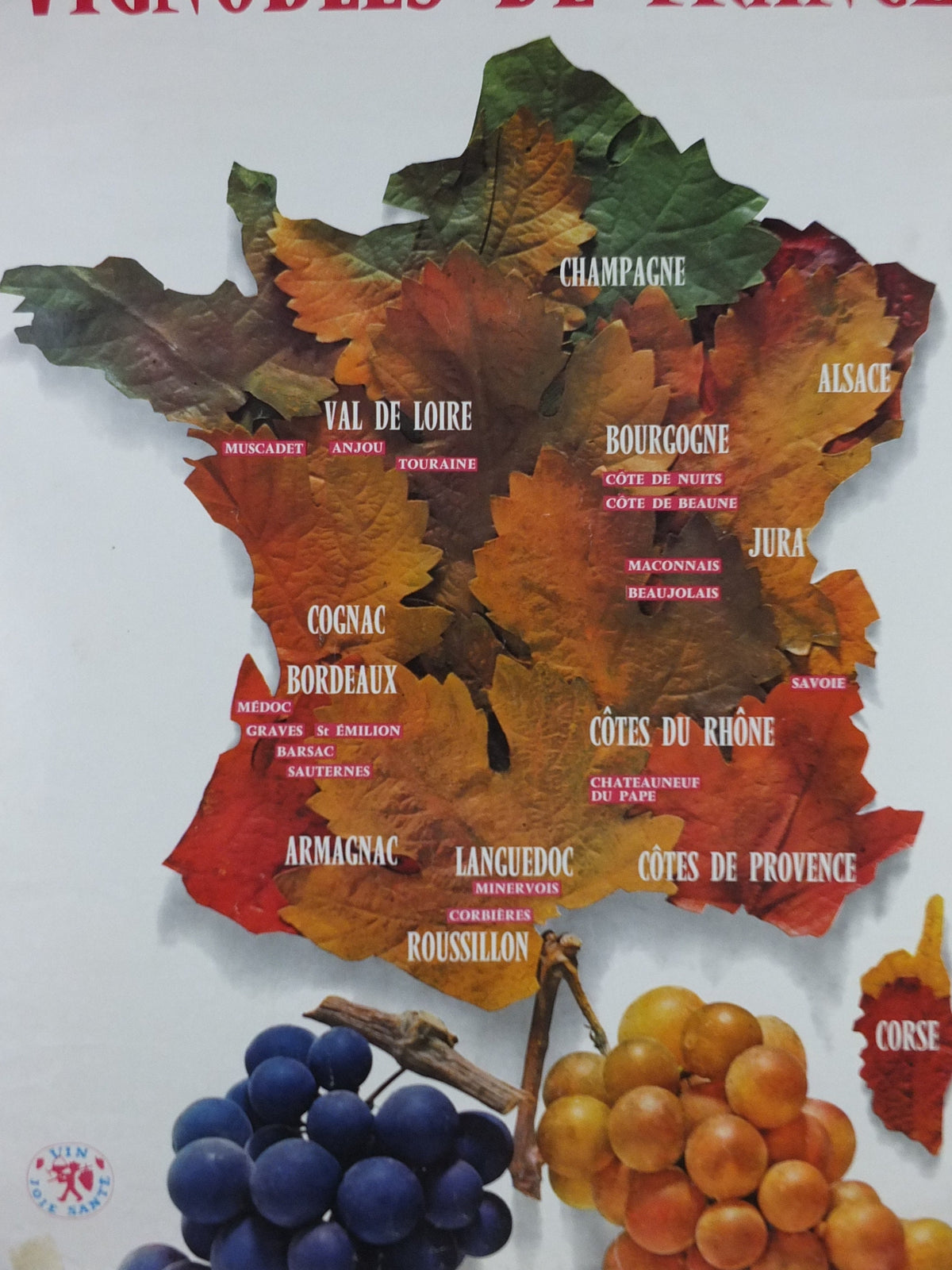 1974 Vineyards of France Poster, Types of French wines, Vins de France, advertising and marketing, Viticulture print wall art decor