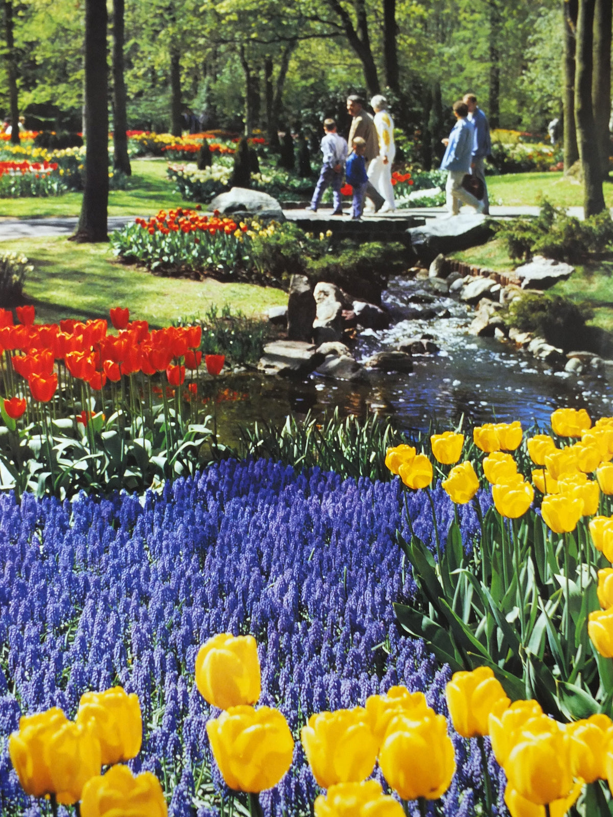 1987 Dutch Tulips Keukenhof Poster, Lisse Holland, The Netherlands, tulip gardens, flower fields and bulbs, wall art decor