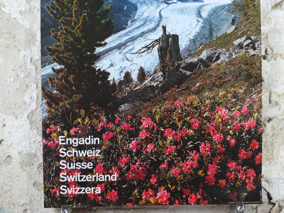 1972 Pontresina Skiing Poster, Engadin Alps, St Moritz, Snow, Switzerland, Suisse, Schweiz, mountain tourism ski vacation wall art decor