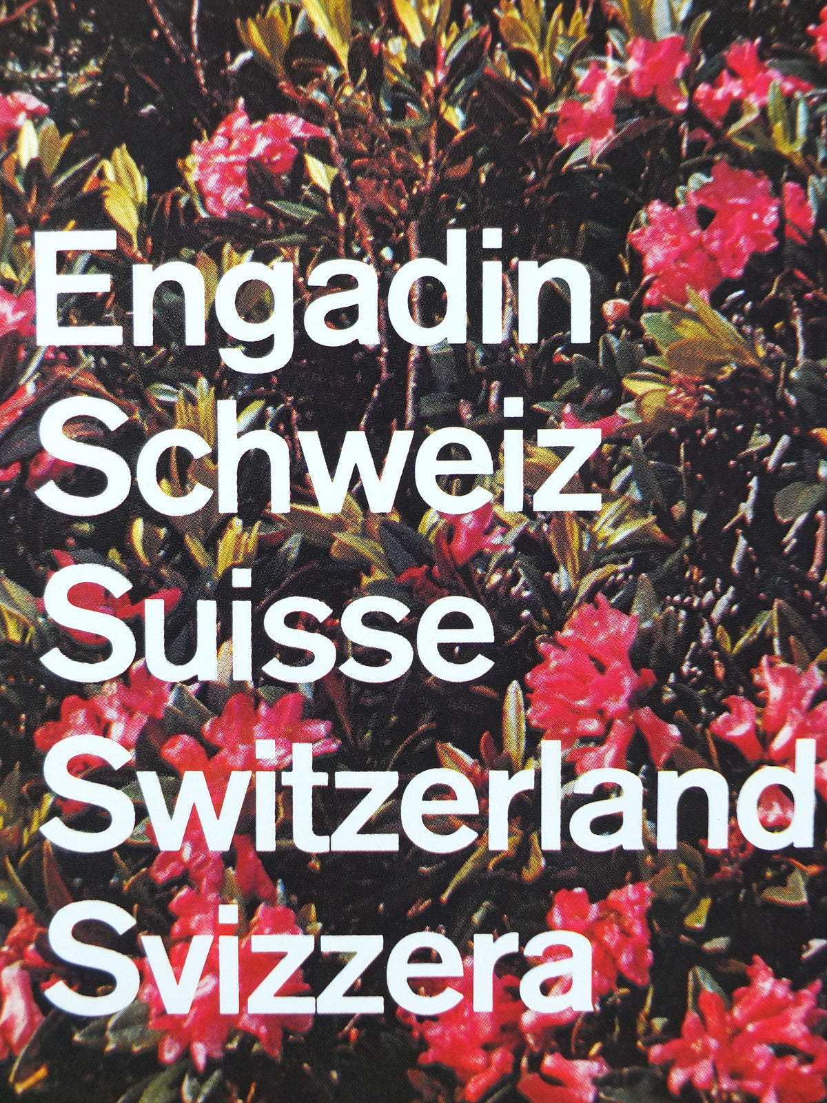1972 Pontresina Skiing Poster, Engadin Alps, St Moritz, Snow, Switzerland, Suisse, Schweiz, mountain tourism ski vacation wall art decor
