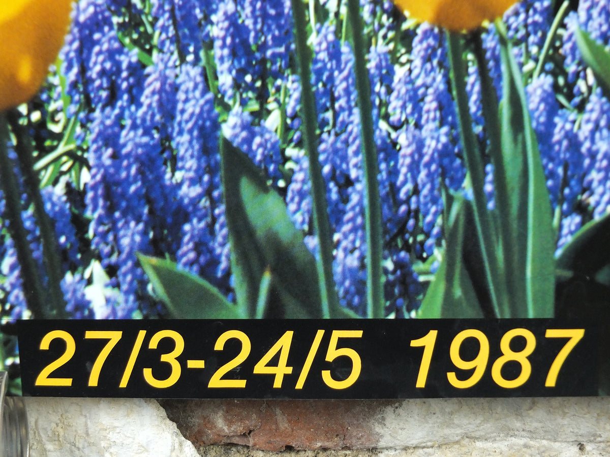 1987 Dutch Tulips Keukenhof Poster, Lisse Holland, The Netherlands, tulip gardens, flower fields and bulbs, wall art decor