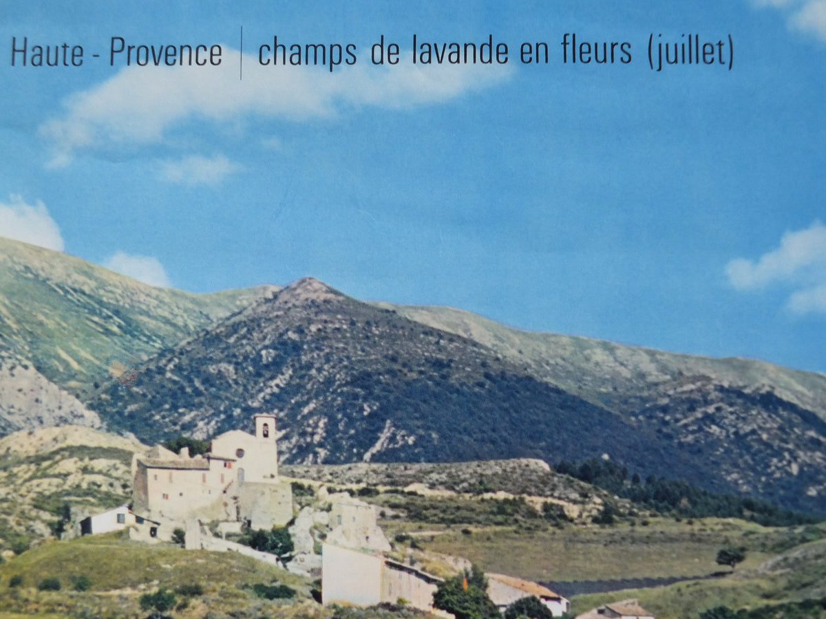 1970s Lavender fields in France Poster, Alpes-de-Haute-Provence, printed by French Government, travel tourism, wall art decor