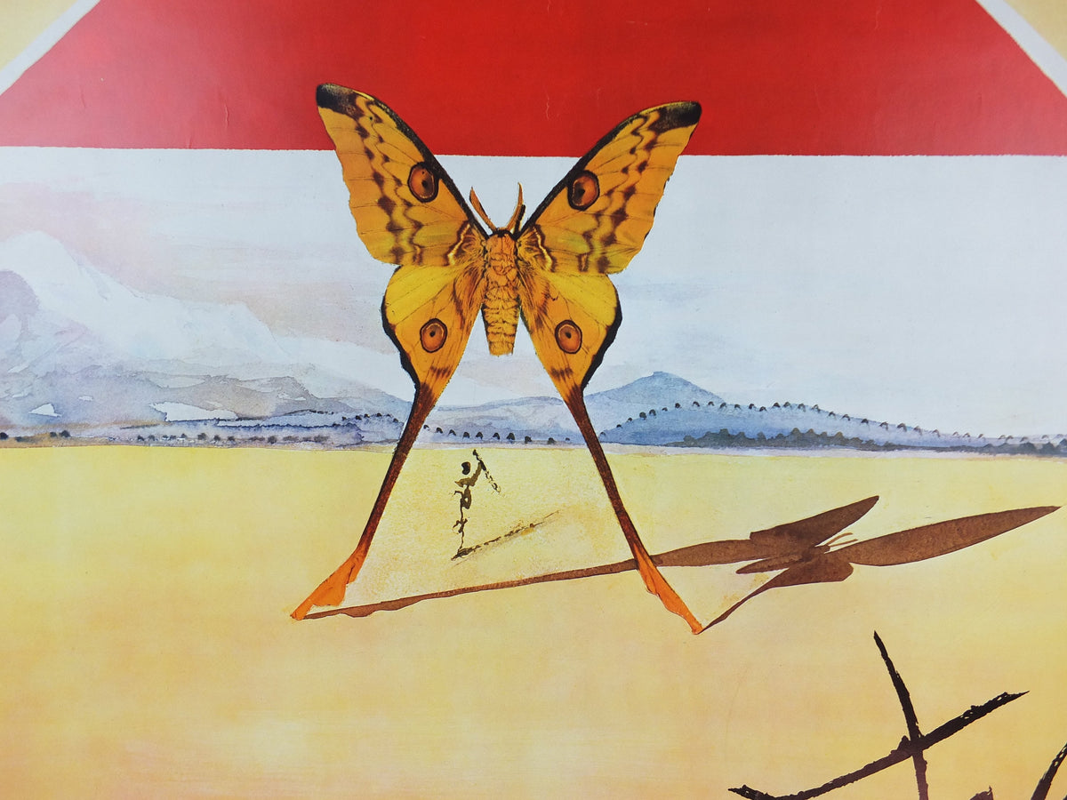 Vintage Dali Roussillon Poster, Salvador Dali, Butterflies, SNCF, travel tourism, 100cmx62cm, Chemins de fer Francais, wall art 1970s