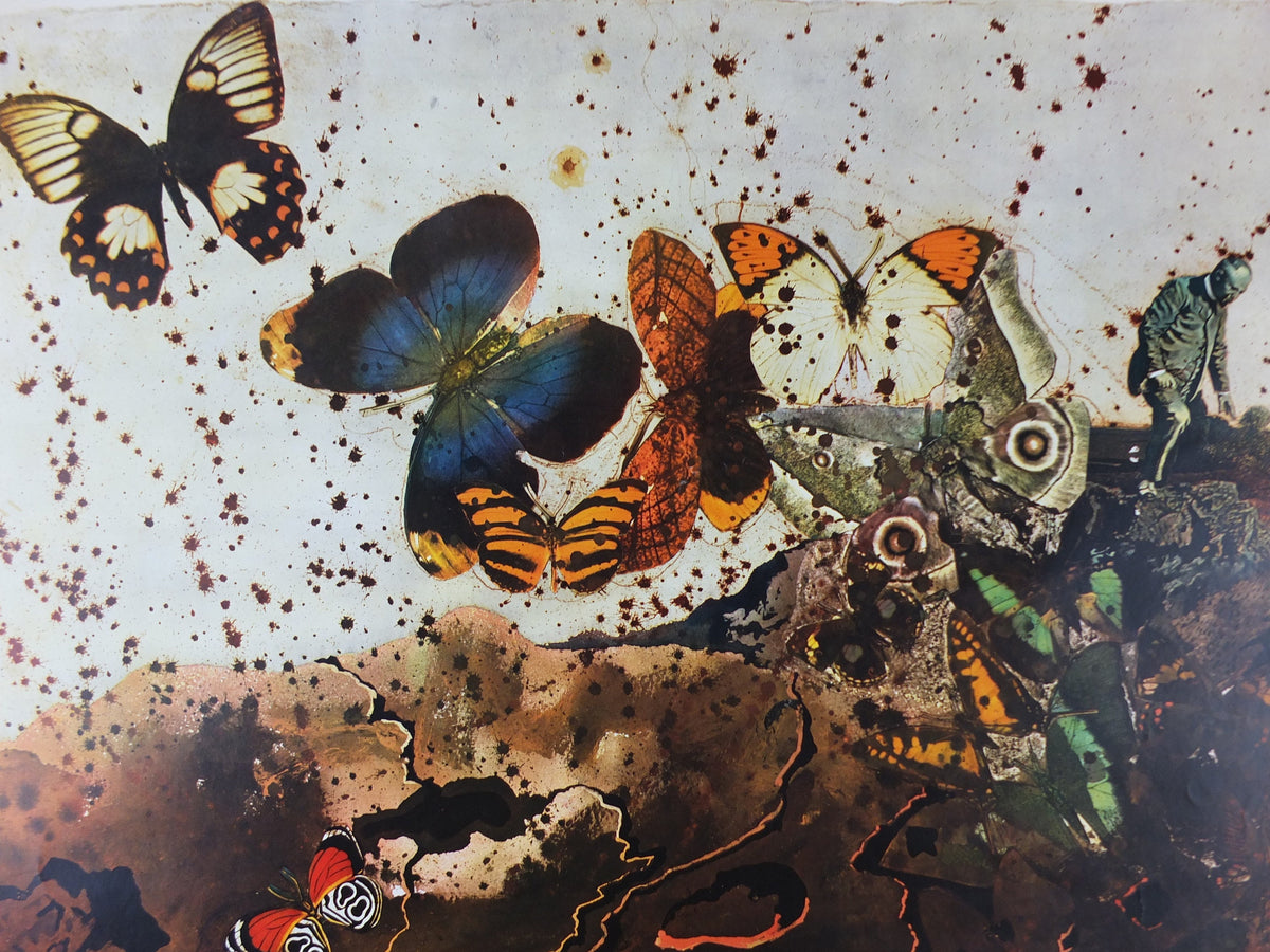 Vintage Dali Auvergne Poster, Salvador Dali, Butterflies, SNCF, travel tourism, 100cmx62cm, Chemins de fer Francais, wall art 1970s
