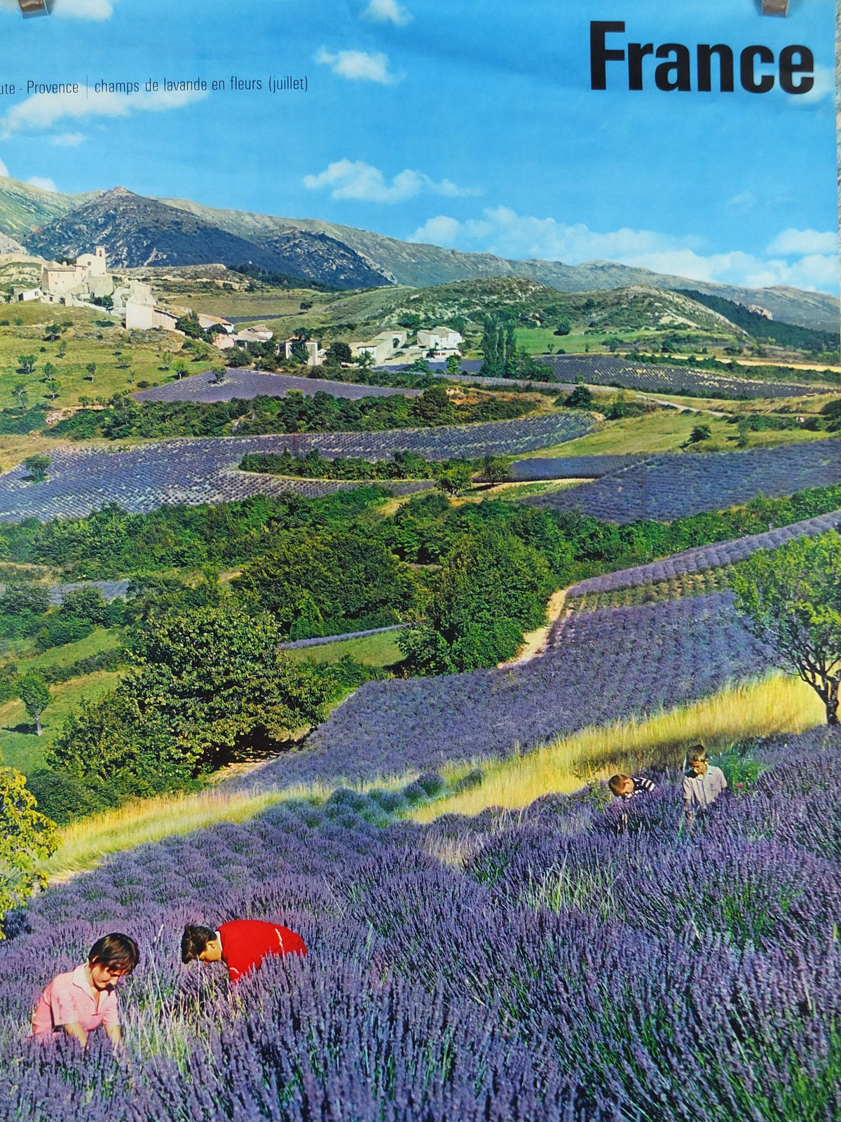 1970s Lavender fields in France Poster, Alpes-de-Haute-Provence, printed by French Government, travel tourism, wall art decor