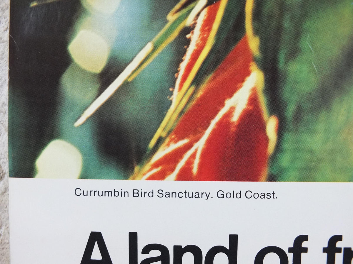 1969 Australia Currumbin Bird Sanctuary Poster, Sixties girl surrounded by colourful parrots and lorikeets, Gold Coast travel wall art decor